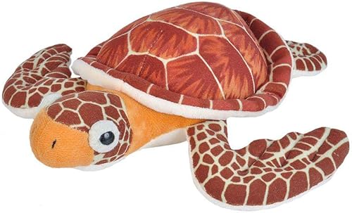 Loggerhead Turtle Plush